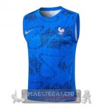 Formazione Senza Maniche Francia 2026 Blu Formazione Senza Maniche Francia 2026 Blu