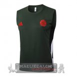 Maglia Formazione Senza Maniche Bayern Monaco 2025 2026 Verde Navy Maglia Formazione Senza Maniche Bayern Monaco 2025 2026 Verde Navy