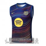 Maglia Formazione Senza Maniche Barcelona 2025 2026 Blu Giallo Maglia Formazione Senza Maniche Barcelona 2025 2026 Blu Giallo