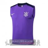 Maglia Senza Maniche Formazione Corinthians Paulista 2025 2026 Purpureo Maglia Senza Maniche Formazione Corinthians Paulista 2025 2026 Purpureo