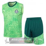 Set Completo Maglia Palmeiras Senza Maniche Formazione 2025 2026 Verde Set Completo Maglia Palmeiras Senza Maniche Formazione 2025 2026 Verde