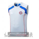 Formazione Senza Maniche Maglia Bayern Monaco 2025 2026 Grigio Blu Formazione Senza Maniche Maglia Bayern Monaco 2025 2026 Grigio Blu