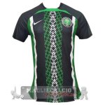 Tailandia speciale Giocatori Maglia Calcio Nigeria 2022 Tailandia speciale Giocatori Maglia Calcio Nigeria 2022