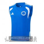 Formazione Senza Maniche Cruzeiro 2026 2027 Blu Bianco Formazione Senza Maniche Cruzeiro 2026 2027 Blu Bianco