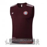 Formazione Senza Maniche Maglia Bayern Monaco 2025 2026 Borgogna Formazione Senza Maniche Maglia Bayern Monaco 2025 2026 Borgogna