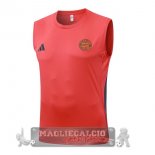 Formazione Senza Maniche Maglia Bayern Monaco 2025 2026 Rosso Formazione Senza Maniche Maglia Bayern Monaco 2025 2026 Rosso