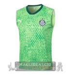 Maglia Palmeiras Senza Maniche Formazione 2025 2026 Verde Maglia Palmeiras Senza Maniche Formazione 2025 2026 Verde