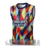 Arsenal Maglia Senza Maniche Formazione 2025 2026 Giallo Blu Arsenal Maglia Senza Maniche Formazione 2025 2026 Giallo Blu