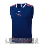 Arsenal Maglia Senza Maniche Formazione 2025 2026 Blu Navy Rosso Arsenal Maglia Senza Maniche Formazione 2025 2026 Blu Navy Rosso
